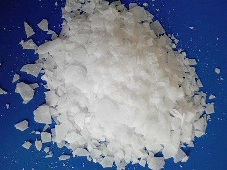諾力昂世界級有機過氧化物基地在津投產(chǎn)，支持亞洲聚合物行業(yè)發(fā)展